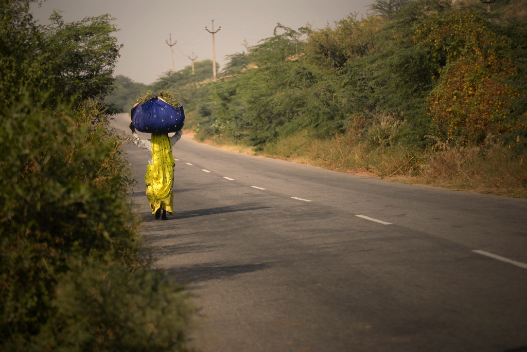Wanderer, India - Your Shot - National Geographic Magazine -- Kristian Bertel