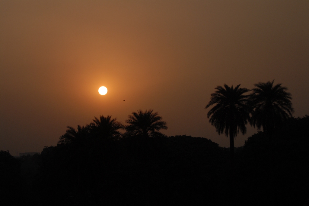 Sunset in Delhi, India - Your Shot - National Geographic Magazine -- Kristian Bertel