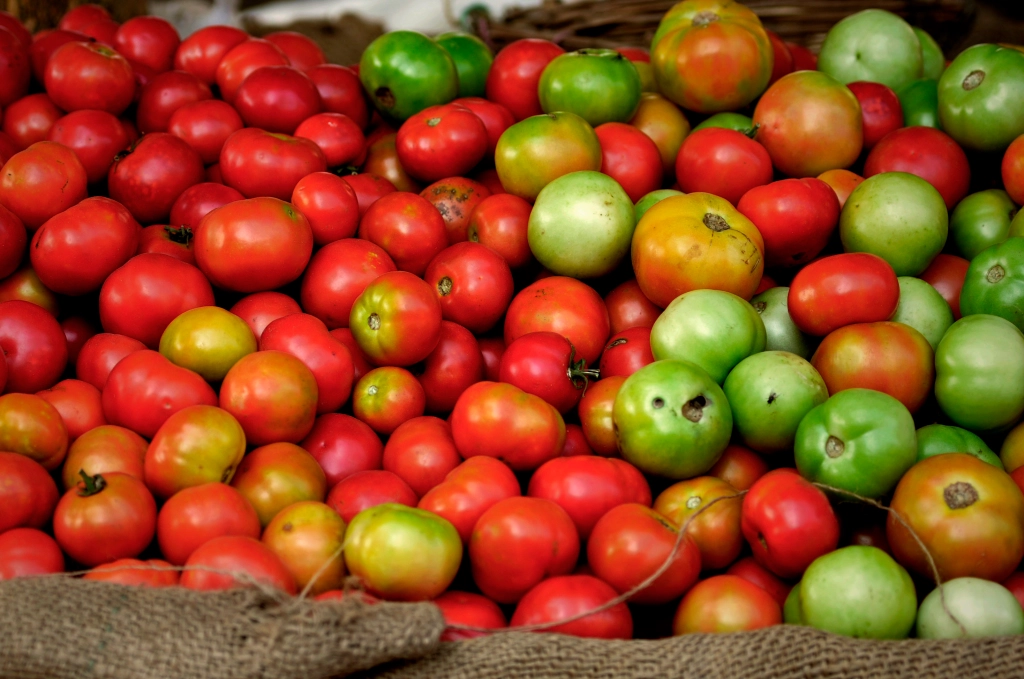 Photo of a tomatoes in India.